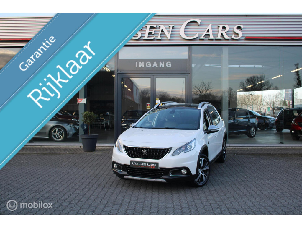 51786637